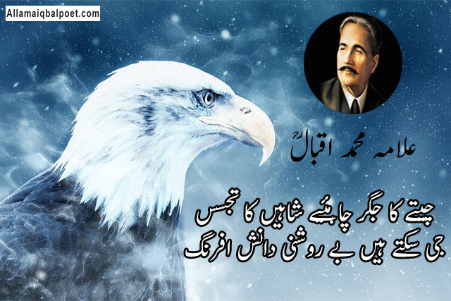 Iqbal-tere-shaheen-funny-poetry