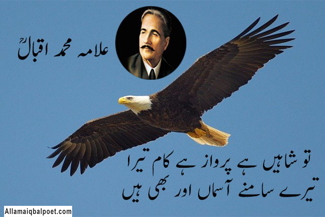 Iqbal-tere-shaheen-poetry