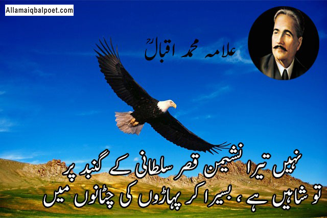 Shaheen-poetry-in-urdu-sms