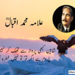 allama-iqbal-shaheen-poetry-2