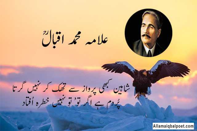 allama-iqbal-shaheen-poetry-2