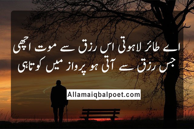 allama-iqbal-best-shayari-1