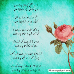 allama-iqbal-famous-poems